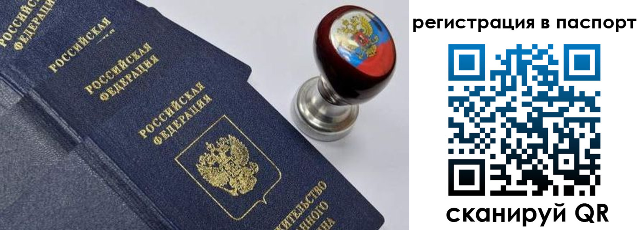 прописка поиск в Могочи
